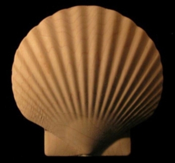 Large 3D Scallop Shell