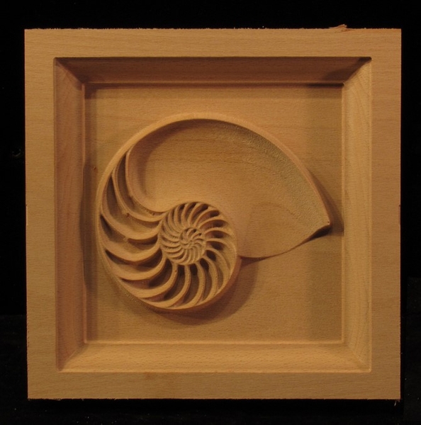 Image Corner Block - Nautilus